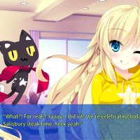 Destiny Star Girlfriend Update Download