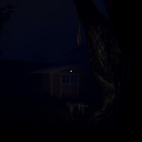Discarnate: Locust Update Download