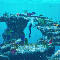 Dive and Dine Simulator Crack Download