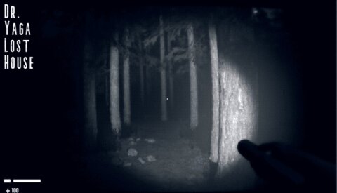 Dr. Yaga Lost House Free Download