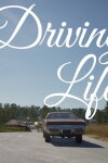 Driving Life Free Download