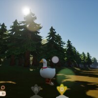 Ducky: The Curious Torrent Download