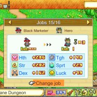 Dungeon Village Crack Download