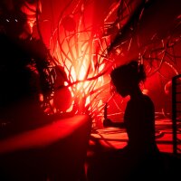 Dye The Bunny 2 Update Download