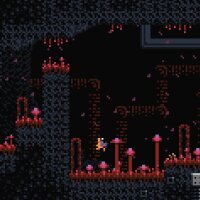 Environmental Station Alpha Update Download