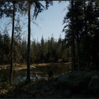 Evergreen - Mountain Life Simulator Torrent Download