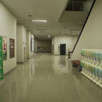 False Mall Update Download