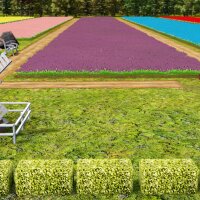 Farm Manager 2021 - Floriculture DLC Crack Download