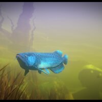 Feed and Grow: Fish Torrent Download