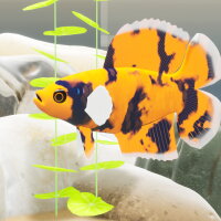 Fish Game - Betta Fish Pack 1 Crack Download
