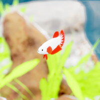 Fish Game - Betta Fish Pack 1 Update Download