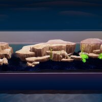 Fish Game - Substrate Variety Pack 1 Update Download