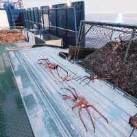 Fishing: Barents Sea - King Crab Crack Download