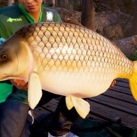 Fishing Sim World®: Pro Tour PC Crack