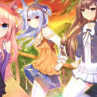 Fluffy Store Torrent Download