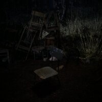 Forest 6174 Update Download