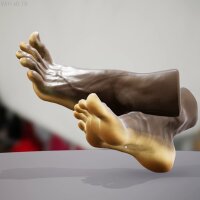 HAELE 3D - Feet Poser Lite Update Download