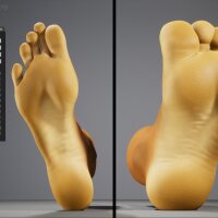 HAELE 3D - Feet Poser Pro Crack Download