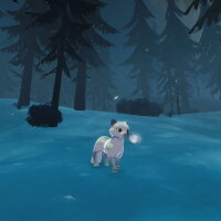 Harmony in the Wild PC Crack