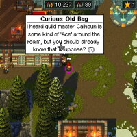 Heroes of Hammerwatch PC Crack