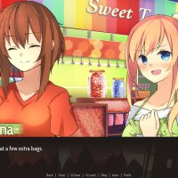 Highway Blossoms: Next Exit Repack Download