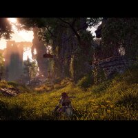 Horizon Zero Dawn™ Complete Edition Update Download