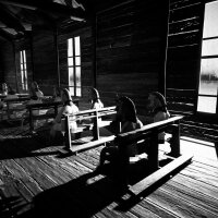 HORSES Crack Download