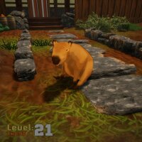 I Believe in Capybara Supremacy! PC Crack