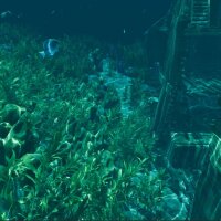 Island Notes Update Download