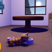 Kittenship Care Update Download