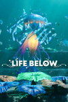 Life Below Free Download