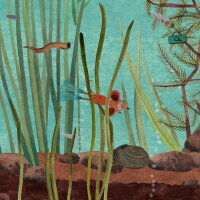 Little Mouse's Encyclopedia Crack Download