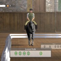 Lucinda Green's Equestrian Challenge Repack Download