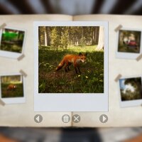 Morels: The Hunt PC Crack