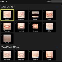MorphVOX Pro 5 - Voice Changer Update Download