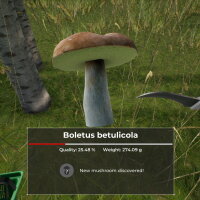 Mushroom Hunter World PC Crack
