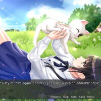 My Fair Cat: Snow Torrent Download