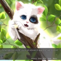 My Fair Cat: Snow Crack Download