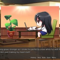 My Fair Cat: Snow Update Download