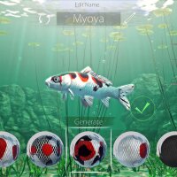 My Koi PC Crack