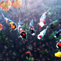 My Koi Repack Download