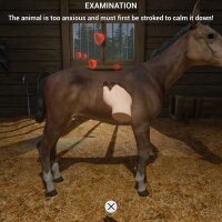 My Life: Farm Vet Crack Download