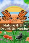 Nature And Life - Drunk On Nectar Free Download