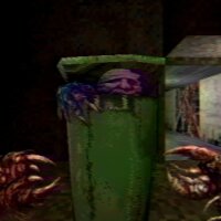 Navicula Meatus Repack Download
