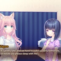 NEKOPARA After Repack Download