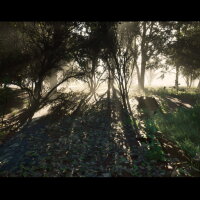 Nietzsche's Shadow Repack Download