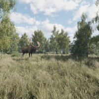 On the Hunt Torrent Download