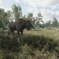 On the Hunt PC Crack