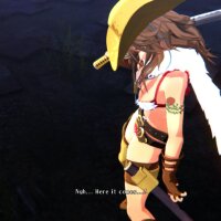 Onee Chanbara ORIGIN PC Crack
