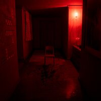 Paranormal Torment Repack Download